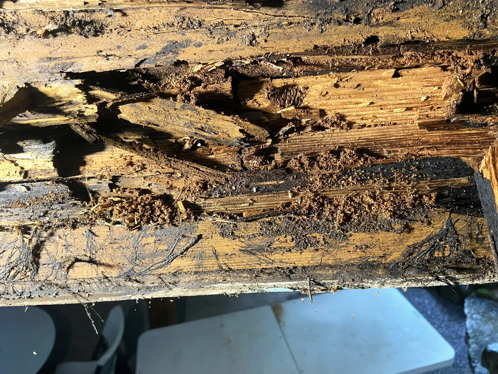 Severe dry rot exposed in a structural beam during an All Home HX repair